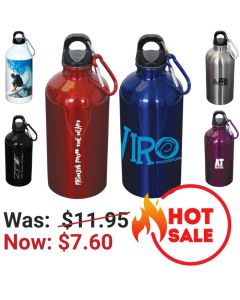 Stainless Steel 500mL Water Bottle & Carabiner
