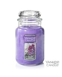 Yankee Candle (22oz)