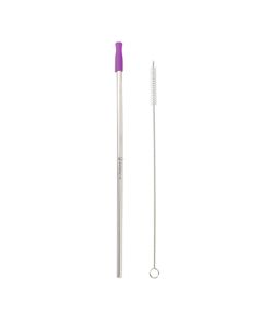 A stainless straw with a purple silicone tip with a pipe cleaner next to it