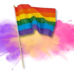 Rainbow Flag (12" x 18")