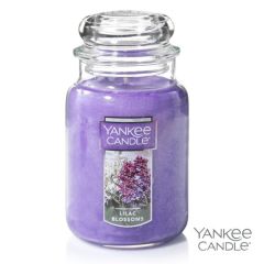 Yankee Candle (22oz)