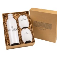 Bottle & Stemless Tumbler Gift Set