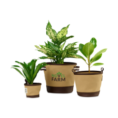 Heritage Supply Trio of Plant Pots