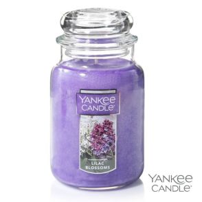 Yankee Candle (22oz)