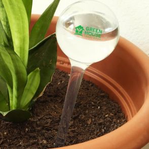 Evergreen Self-Watering Globe