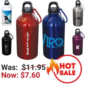 Stainless Steel 500mL Water Bottle & Carabiner