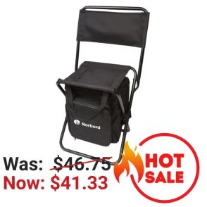 Terrace Lounger Picnic Cooler Bag & Chair