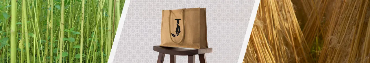 Left photo; Fresh jute growing in the forest. Middle photo; a large jute tote resting on a stool over a light grey patterned background. Right photo; Dried jute gathered in bushels.