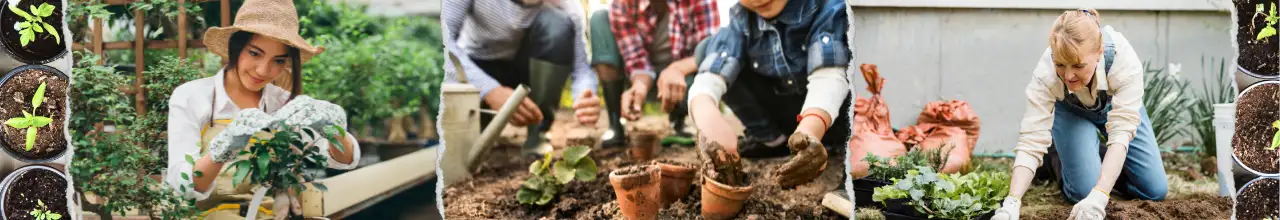 Relaxed Canadian gardeners enjoy promotional garden swag and plant custom printed seed packets during spring.