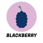 Blackberry Scent