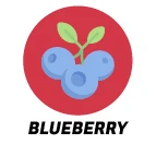 Blueberry Scent