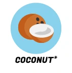 Coconut Scent