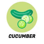 Cucumber Scent
