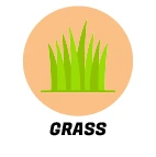 Grass Scent