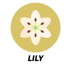 Lily Scent