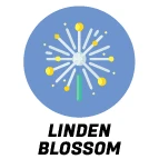 Linden Blossom Scent
