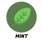 Mint Scent