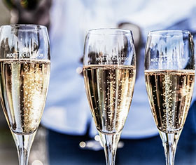 Champagne & Cocktail Accessories
